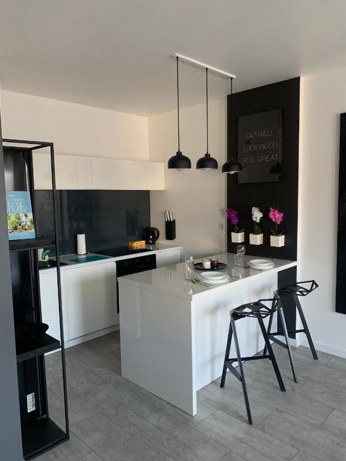 Ekskluzywny Penthouse Z Ogrodem W Centrum Lodzi Extérieur photo