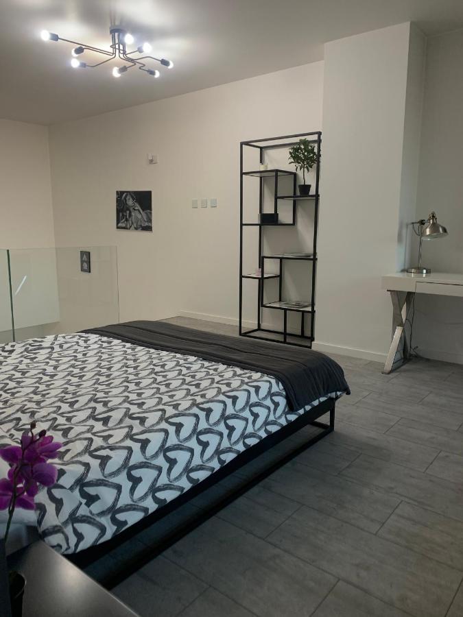Ekskluzywny Penthouse Z Ogrodem W Centrum Lodzi Extérieur photo