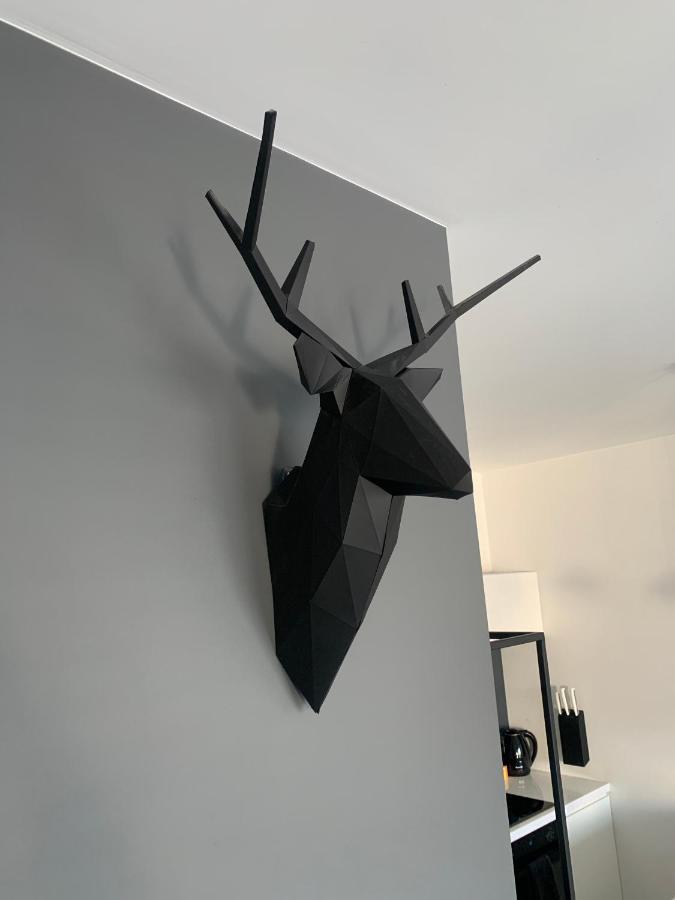 Ekskluzywny Penthouse Z Ogrodem W Centrum Lodzi Extérieur photo